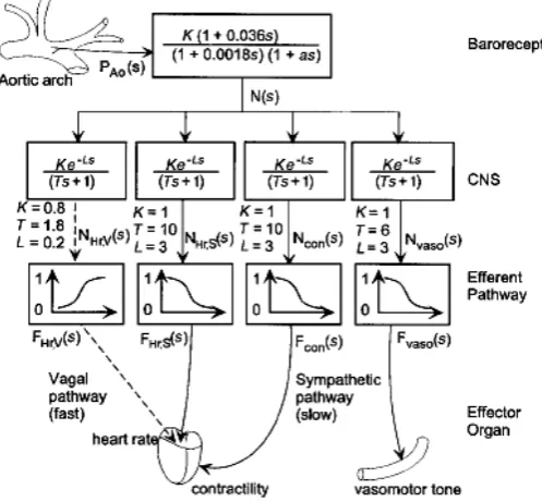 Gambar 8 : Skema ekuivalensi sirkuit hidrolik sistem sirkulasi (Lu, et.al; 2001) 