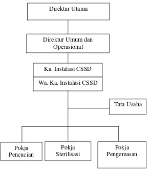 Gambar 3.2 Struktur Organisasi Instalasi CSSD RSUP H. Adam Malik Medan 