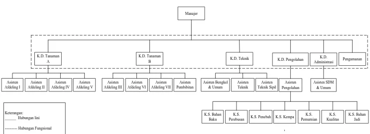Gambar 2.1. Struktur Organisasi PTPN IV Pabatu 
