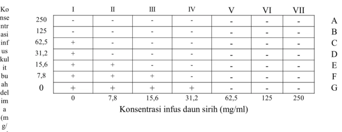 Tabel 3. Sistem Checkboard untuk penentuan KHM kombinasi dari infus daun sirih dan kulit buah delima Ko nse ntr asi inf us kul it bu ah del im a (m g/ ml I II III IV V VI VII250------- A125-------B62,5+------C31,2+------D15,6++-----E7,8+++----F0++++---G07,