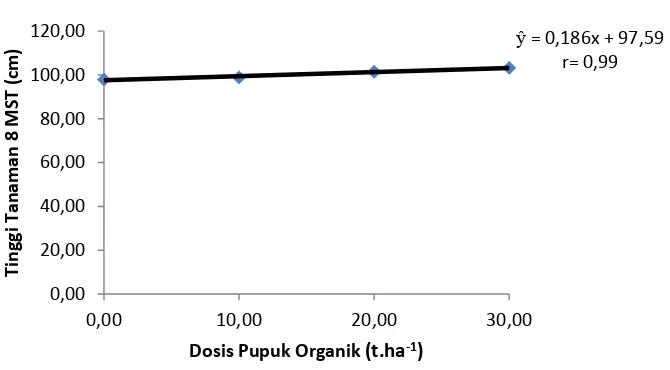 Gambar 1.Hubungan  antara   perlakuan   taraf  dosis pupuk organik dengan tinggi        tanaman
