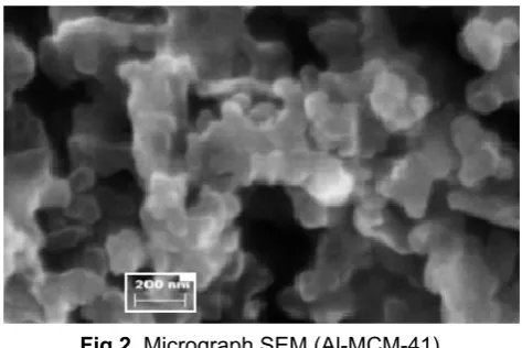 Fig 2. Micrograph SEM (Al-MCM-41) 