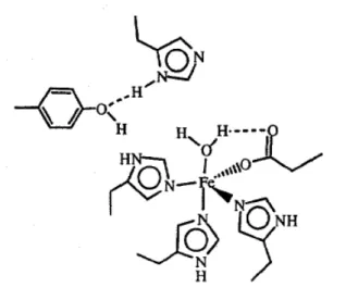 Gambar 1.3   Struktur protein FeSOD (Cabelli,et.al., 1998) 