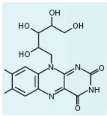 Gambar 2.1. Struktur Riboflavin.27.54 