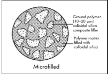 Gambar 2.3. Mikrostruktur Resin Komposit 