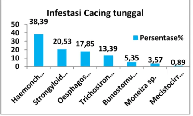 Tabel 1. Prevalensi cacing saluran pencernaan   Kambing Saburai pada kelompok ternak  Budi Lestari dan Tunas Mekar Jaya  Nama  Kelompok  ternak  Jumlah sampel (ekor)  Positif (ekor)  Prevalensi (%)  Budi Lestari  64  38  59,04%  Tunas Mekar  Jaya  19  13  