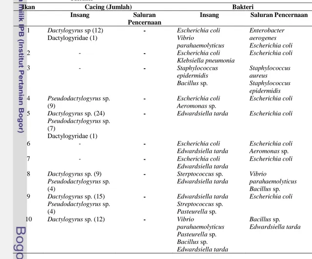 Tabel  1  Hasil  Identifikasi  Cacing  Parasitik  dan  Bakteri  pada  Ikan  Nila  Hitam 