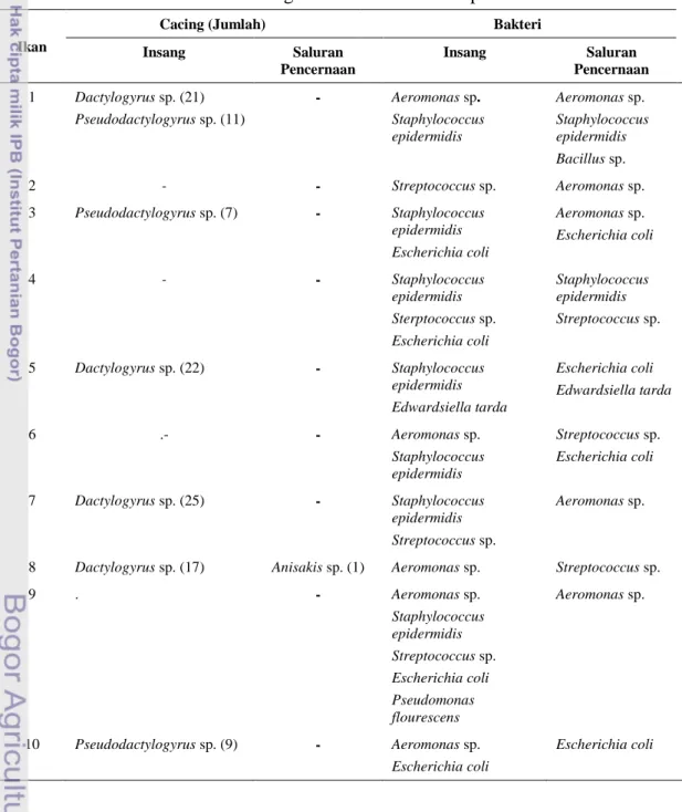 Tabel 1 Hasil Identifikasi Cacing Parasitik dan Bakteri pada Ikan Nila BEST 