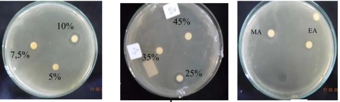 Tabel 2. Pengujian aktivitas antibakteri kombinasi minyak atsiri dengan kloramfenikol  Diameter zona hambat (mm) 