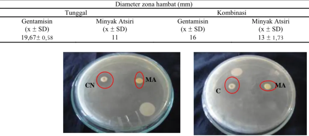 Tabel 3.  Pengujian aktivitas antibakteri kombinasi minyak atsiri dengan gentamisin  Diameter zona hambat (mm) 