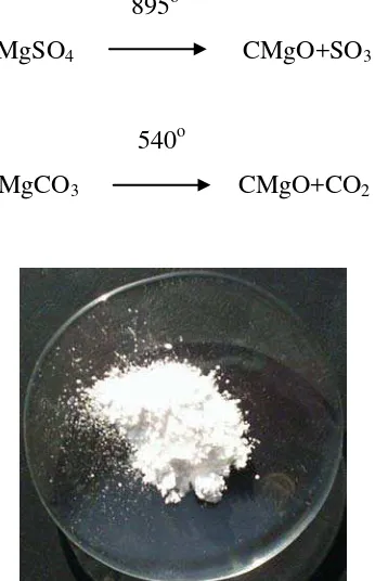 Gambar 2.1: Serbuk Magnesium Oksida 