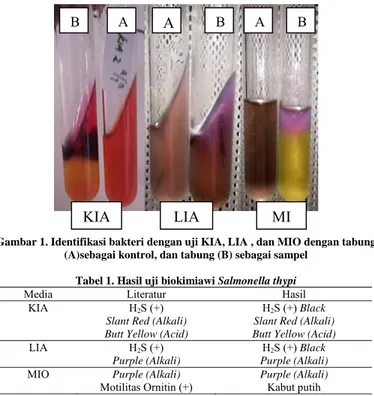 Gambar 1. Identifikasi bakteri dengan uji KIA, LIA , dan MIO dengan tabung  (A)sebagai kontrol, dan tabung (B) sebagai sampel 