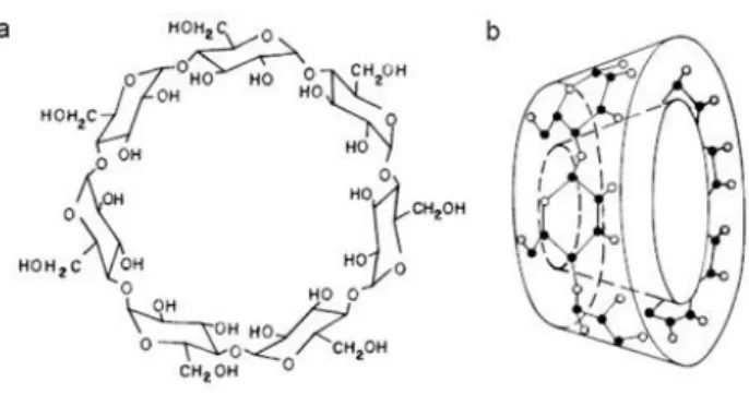 Gambar 7: Struktur kimia (A) dan struktur steroidal β-siklodekstrin (Challa dkk., 2005) 