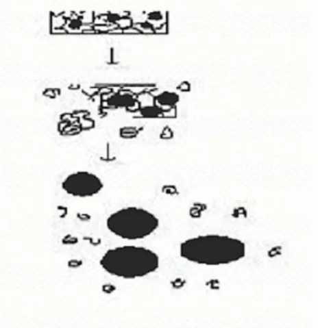 Gambar 1: mekanisme swelling (Bhowmik dkk., 2009) 