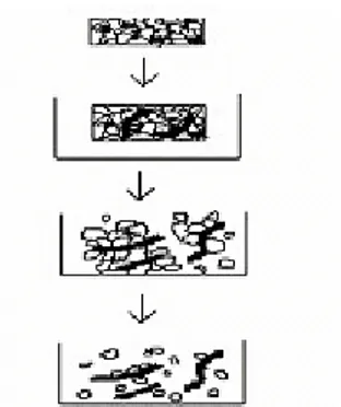 Gambar 4. Mekanisme Deformation (Parashar dkk., 2012) 