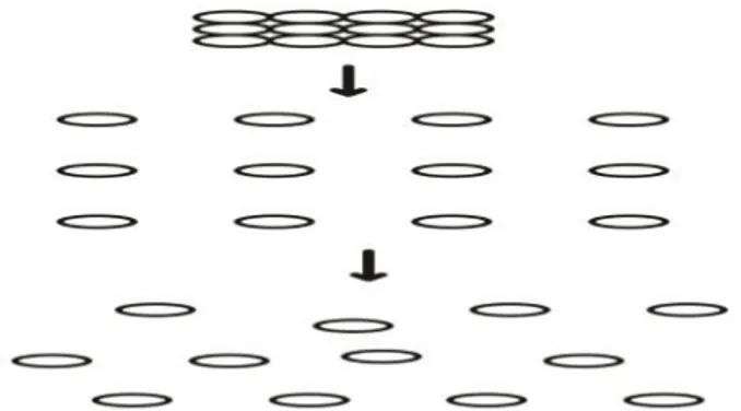 Gambar 4. Mekanisme perenggangan (Mangal dkk., 2012)