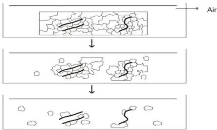 Gambar 2.  Mekanisme perembesan (Mangal dkk., 2012) 