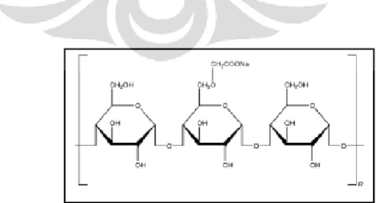 Gambar 2.4  Rumus struktur Sodium starch glycolate     