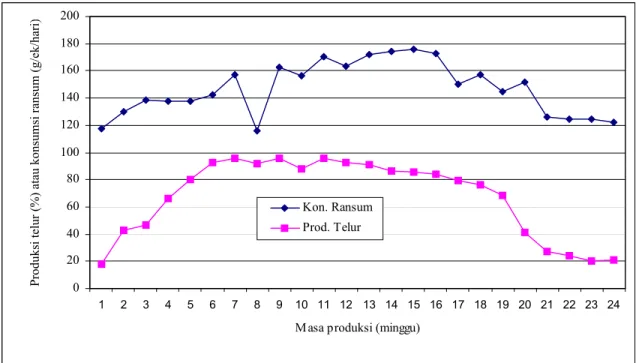 Gambar 1. Kurva konsumsi pakan (g ekor -1  h -1 ) dan produksi telur (%) itik MA yang diberi pakan ad libitum selama 24 minggu 