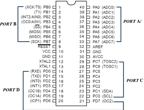 Gambar 2.3   TCP IP Starter Kit  