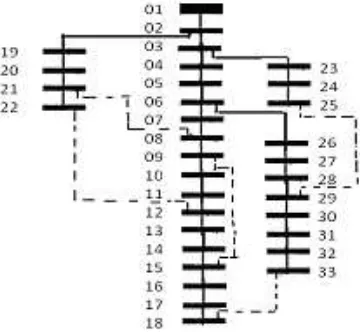 Gambar 4.1 Bentuk jaringan IEEE 33 bus  distribution test 