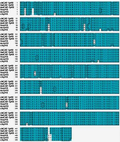 Fig 1. Comparison of aligned amino acid sequences ofp48 subunit of chromatin assembly factor-1s