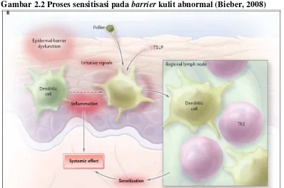 Gambar 2.2 Proses sensitisasi pada barrier kulit abnormal (Bieber, 2008) 