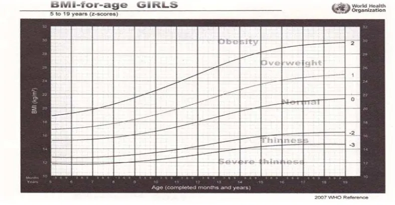 Gambar 1. Diagram BMI for Age untuk anak laki-laki usia 5-19 tahun. 