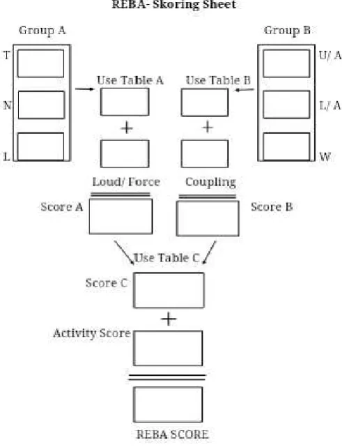 Gambar 2.8 REBA Scoring Sheet