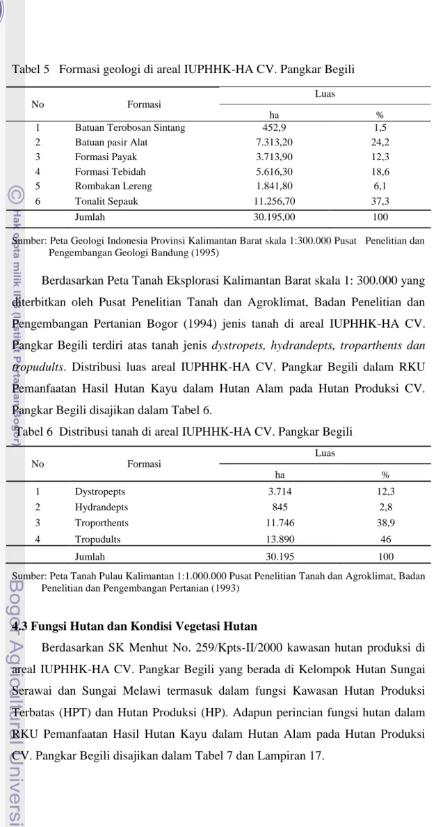 Tabel 5   Formasi geologi di areal IUPHHK-HA CV. Pangkar Begili 
