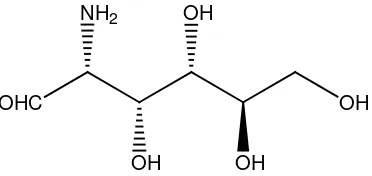 Gambar 2.2 Glukosamin  