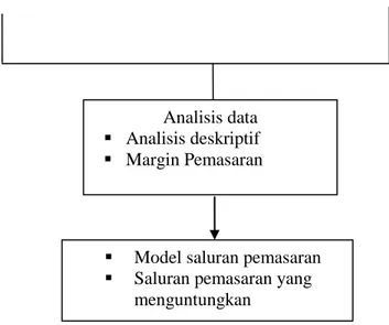 Gambar 1. Kerangka Pikir Analisis Saluran Pemasaran Ikan Di Pangkalan Pendaratan  Ikan (PPI) Tenda Kota Gorontalo