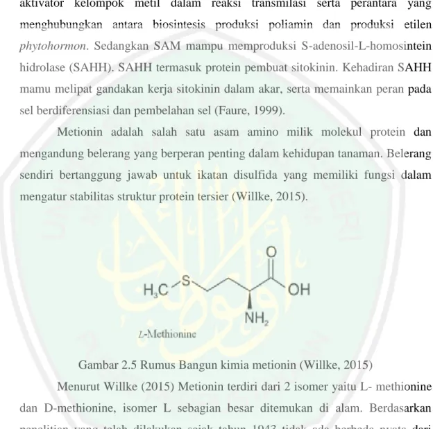 Gambar 2.5 Rumus Bangun kimia metionin (Willke, 2015) 