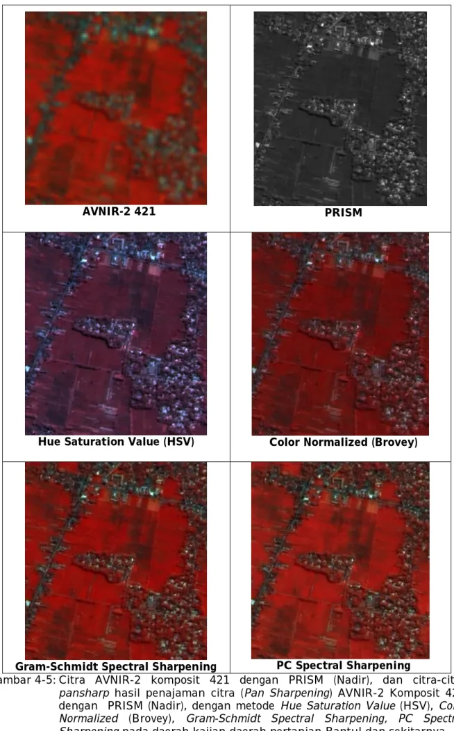 Gambar 4-5: Citra  AVNIR-2  komposit  421  dengan  PRISM  (Nadir),  dan  citra-citra  pansharp  hasil  penajaman  citra  (Pan  Sharpening)  AVNIR-2  Komposit  421  dengan    PRISM  (Nadir),  dengan  metode  Hue  Saturation  Value  (HSV),  Color  Normalized