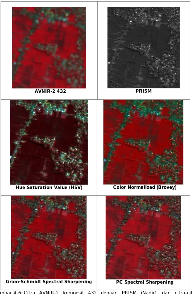 Gambar 4-6: Citra  AVNIR-2  komposit  432  dengan  PRISM  (Nadir),  dan  citra-citra  pansharp  hasil  penajaman  citra  (Pan  Sharpening)  AVNIR-2  komposit  432  dengan  PRISM  (Nadir),  dengan  metode  Hue  Saturation  Value  (HSV),  Color  Normalized  