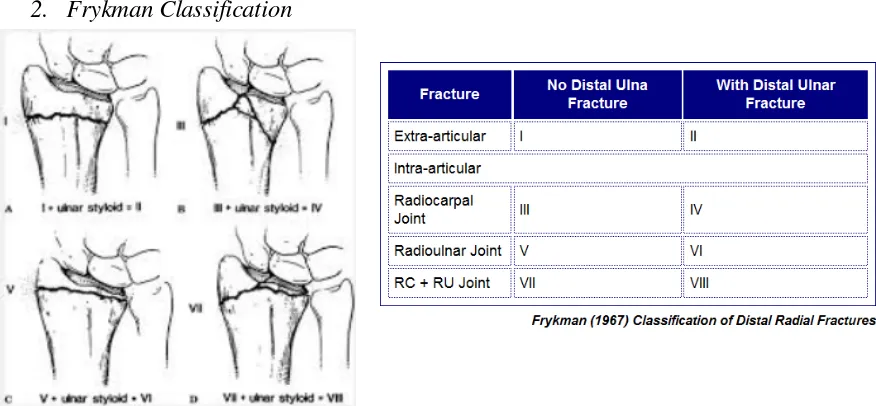 Gambar 2. Penilaian radiologi normal radius distal.(4)