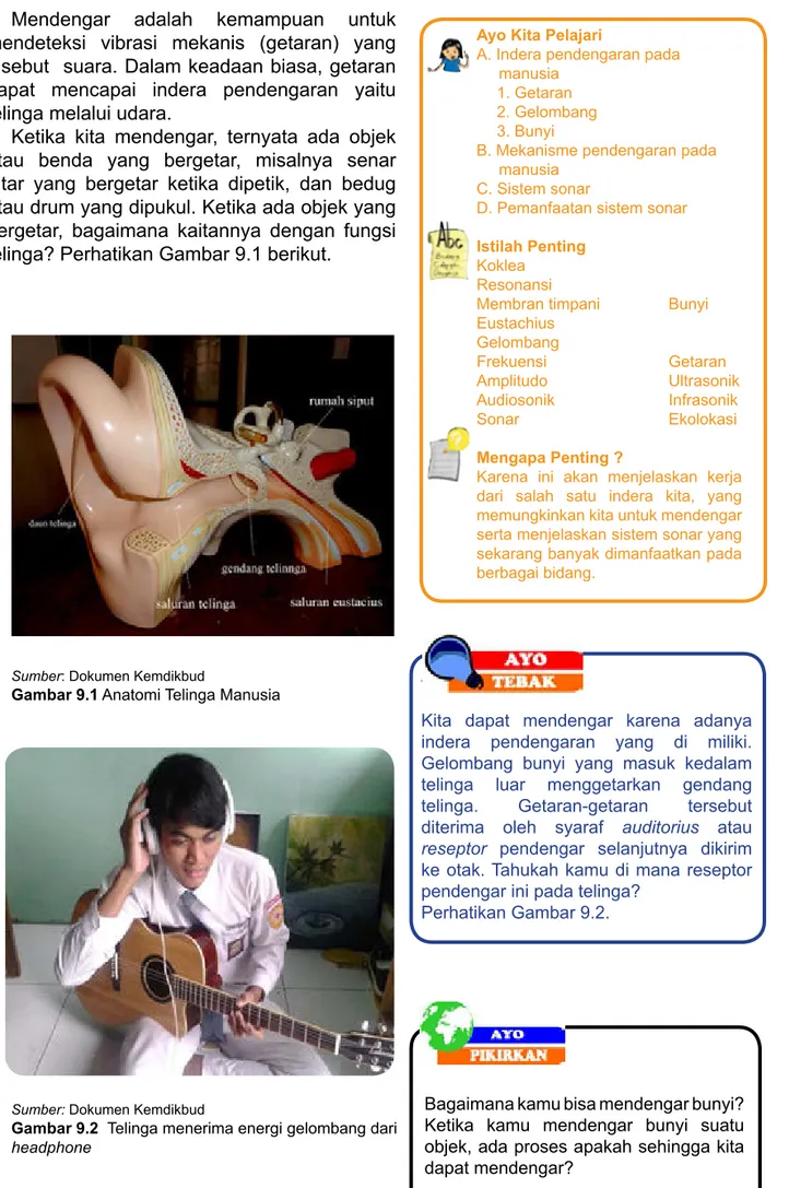 Gambar 9.1 Anatomi Telinga Manusia