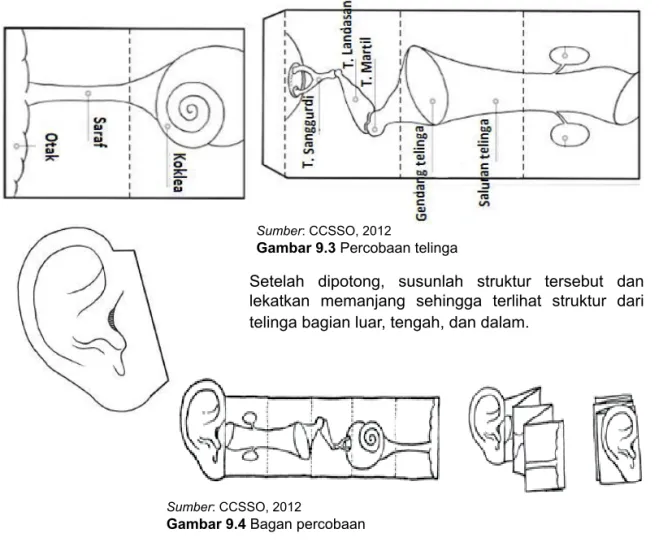 Gambar 9.4 Bagan percobaan Sumber: CCSSO, 2012 