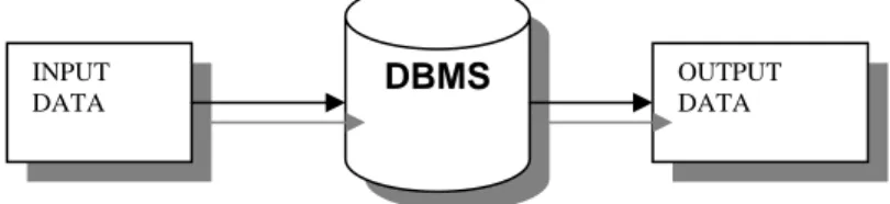Gambar 1. Proses input dan output data pada basis data 