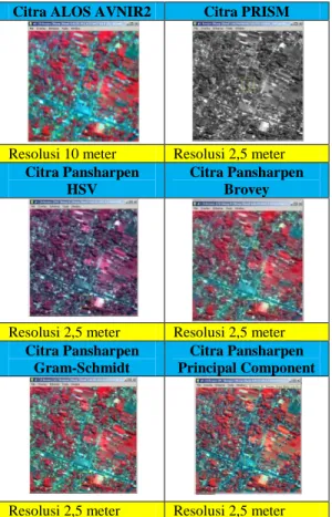 Gambar 1 Citra hasil pansharpening 