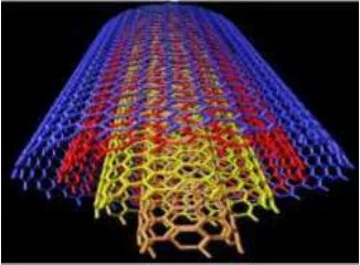 Gambar 2.8 Struktur Multi Walled Nanotube (Paul et al., 2003) 