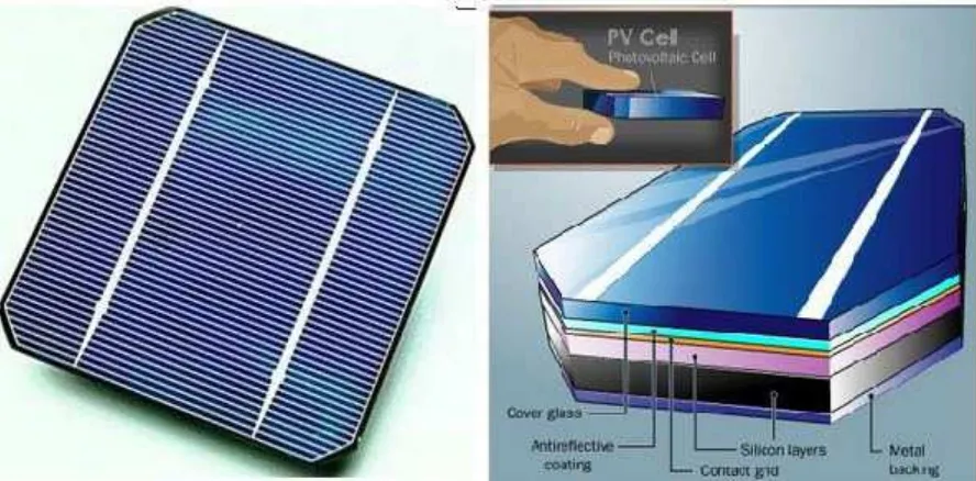 Gambar diatas  menunjukan ilustrasi sel surya dan juga bagian-bagiannya. Secara umum terdiri 