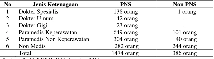 Tabel 4.1 Jumlah Ketenagaan di RSUP HAM Medan Tahun 2012 