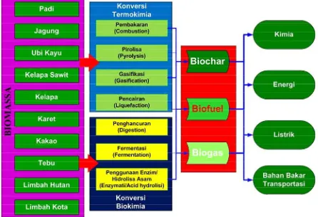 Gambar  9. Pilihan prinsip teknologi konversi biomassa menjadi bioenergi