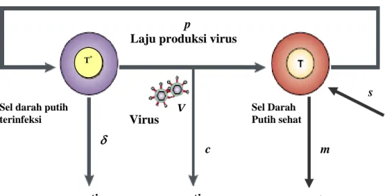 Gambar 2  Diagram penyebaran virus 