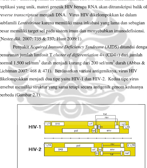 Gambar 2.1. Genom HIV-1 dan HIV-2 
