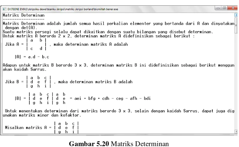 Gambar 5.20 Matriks Determinan 