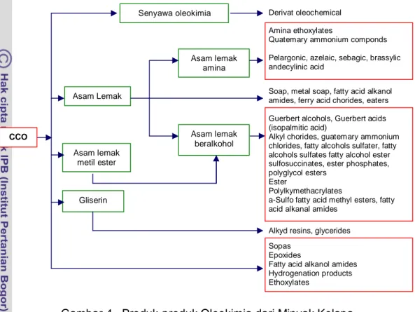 Gambar 4.  Produk-produk Oleokimia dari Minyak Kelapa Sumber : Mahmud, et al., 2005 