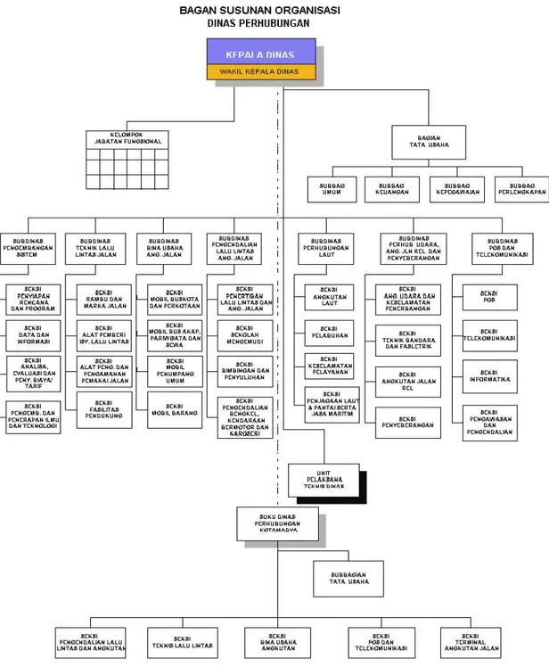 Gambar 3.1  Struktur Organisasi Dinas Perhubungan 