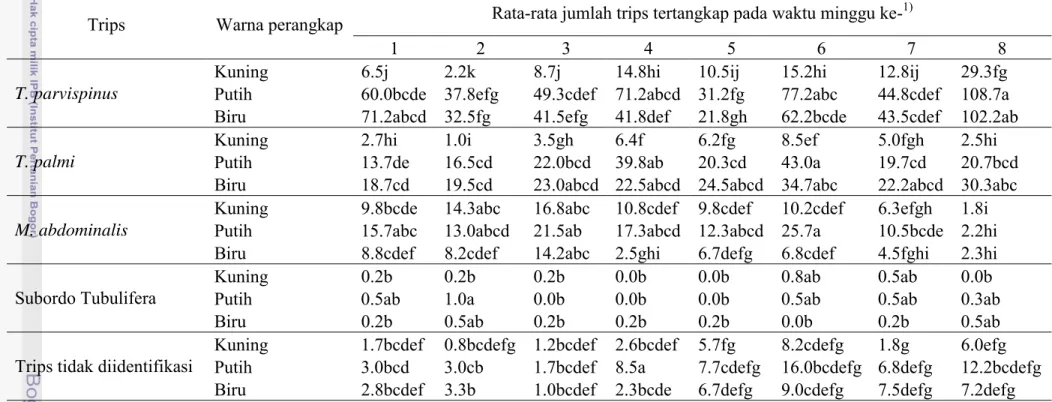 Tabel 2    Jumlah trips yang tertangkap perangkap likat berdasarkan warna perangkap dan waktu pengamatan di Desa Sukagalih, Kecamatan   Megamendung, Bogor 